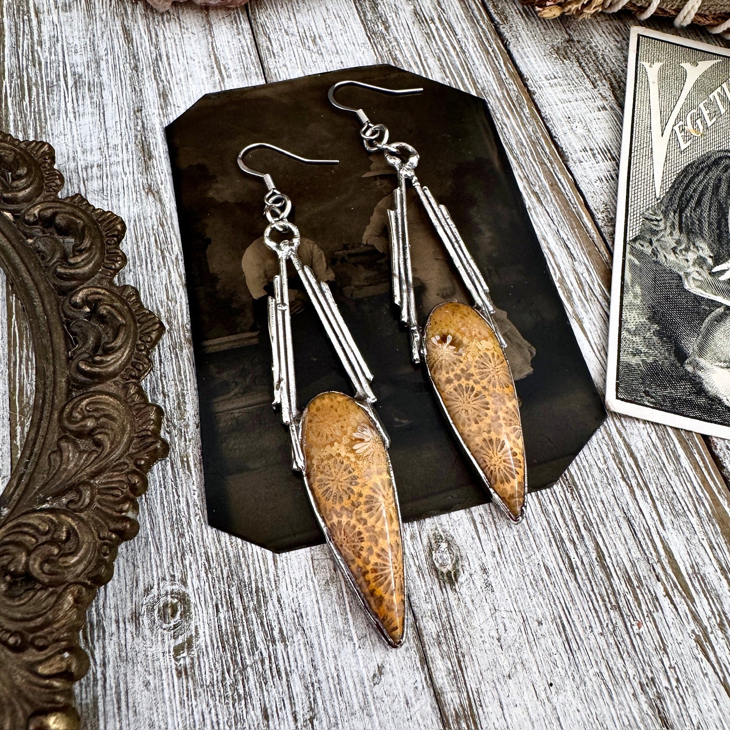 Fossilized Coral Fine Silver Crystal Earrings / Long Dangle Witchy Earrings