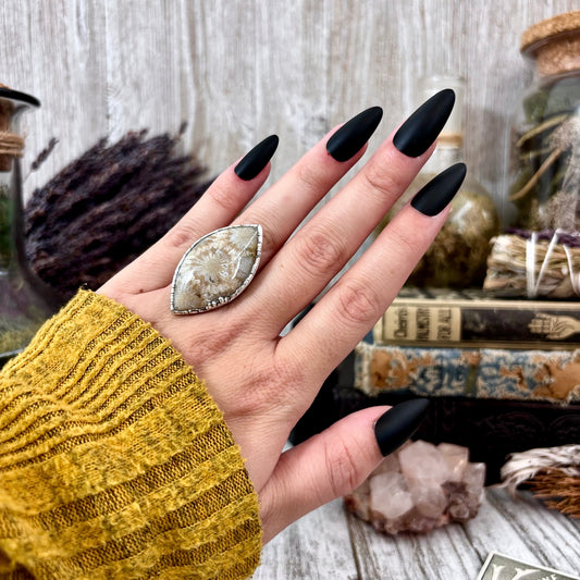 Fossilized Coral Ring Silver Size 5.5 / Foxlark Collection - One of a Kind