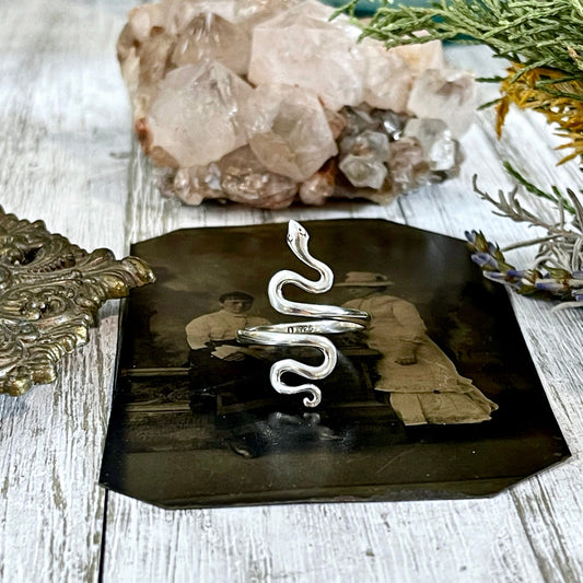 Snake Ring in Sterling Silver Adjustable / Tiny Talismans Collection.