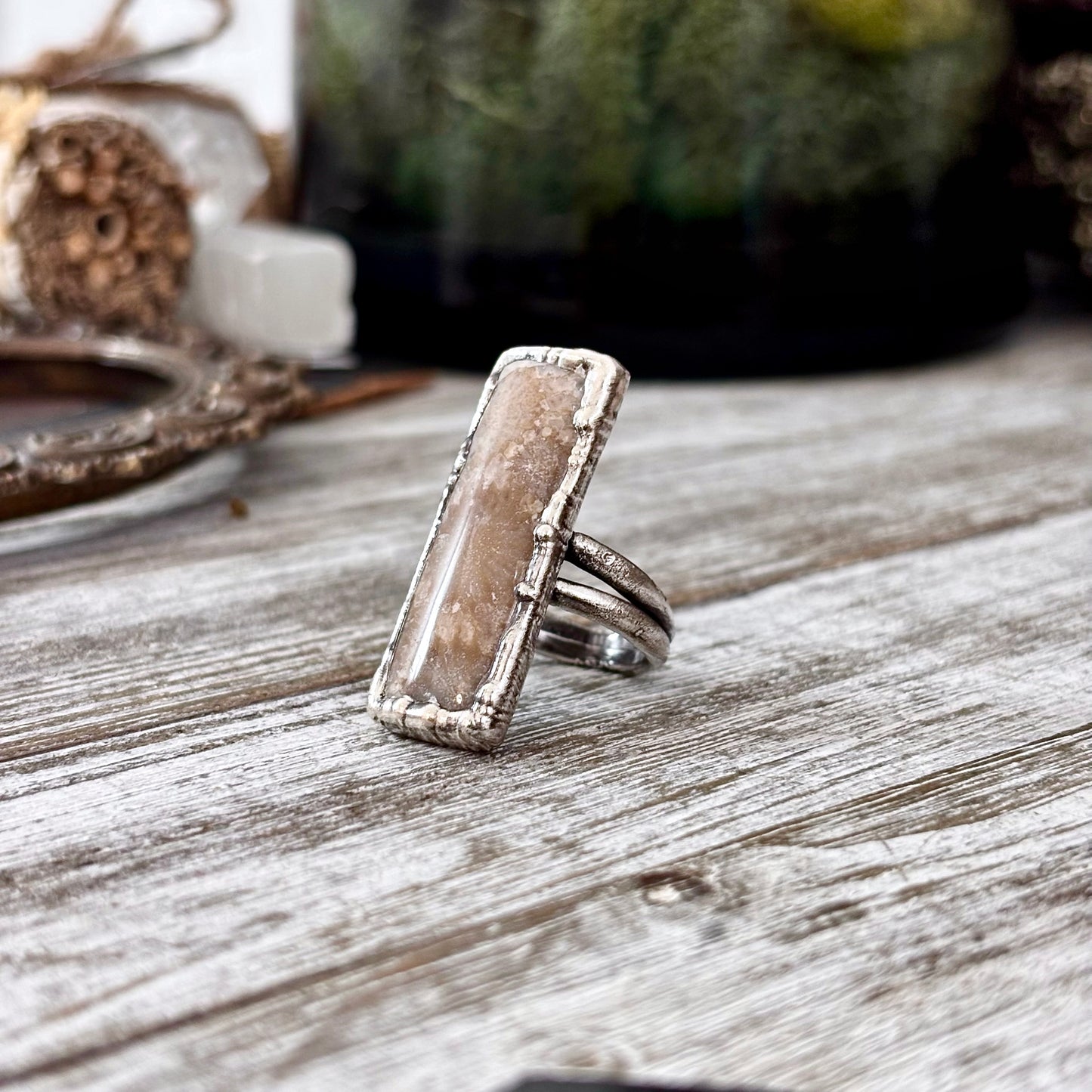Fossilized Coral Ring Silver Size 7.5 / Foxlark Collection - One of a Kind