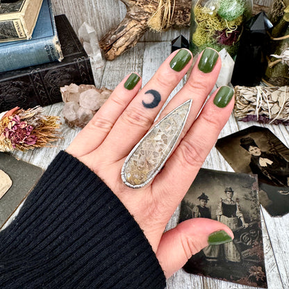 Big Fossilized Coral Crystal Ring Fine Silver Size 8.5 / Foxlark Collection - One of a Kind