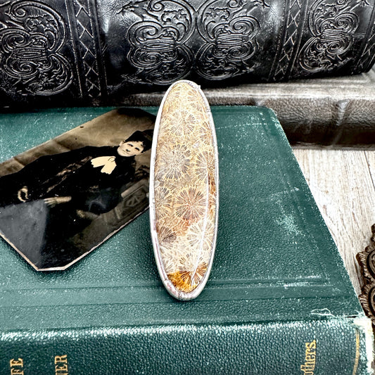 The Colossal Collection - Fossilized Coral Crystal Ring Fine Silver Size 10 / Foxlark Collection - One of a Kind
