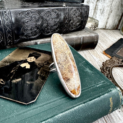 The Colossal Collection - Fossilized Coral Crystal Ring Fine Silver Size 10 / Foxlark Collection - One of a Kind