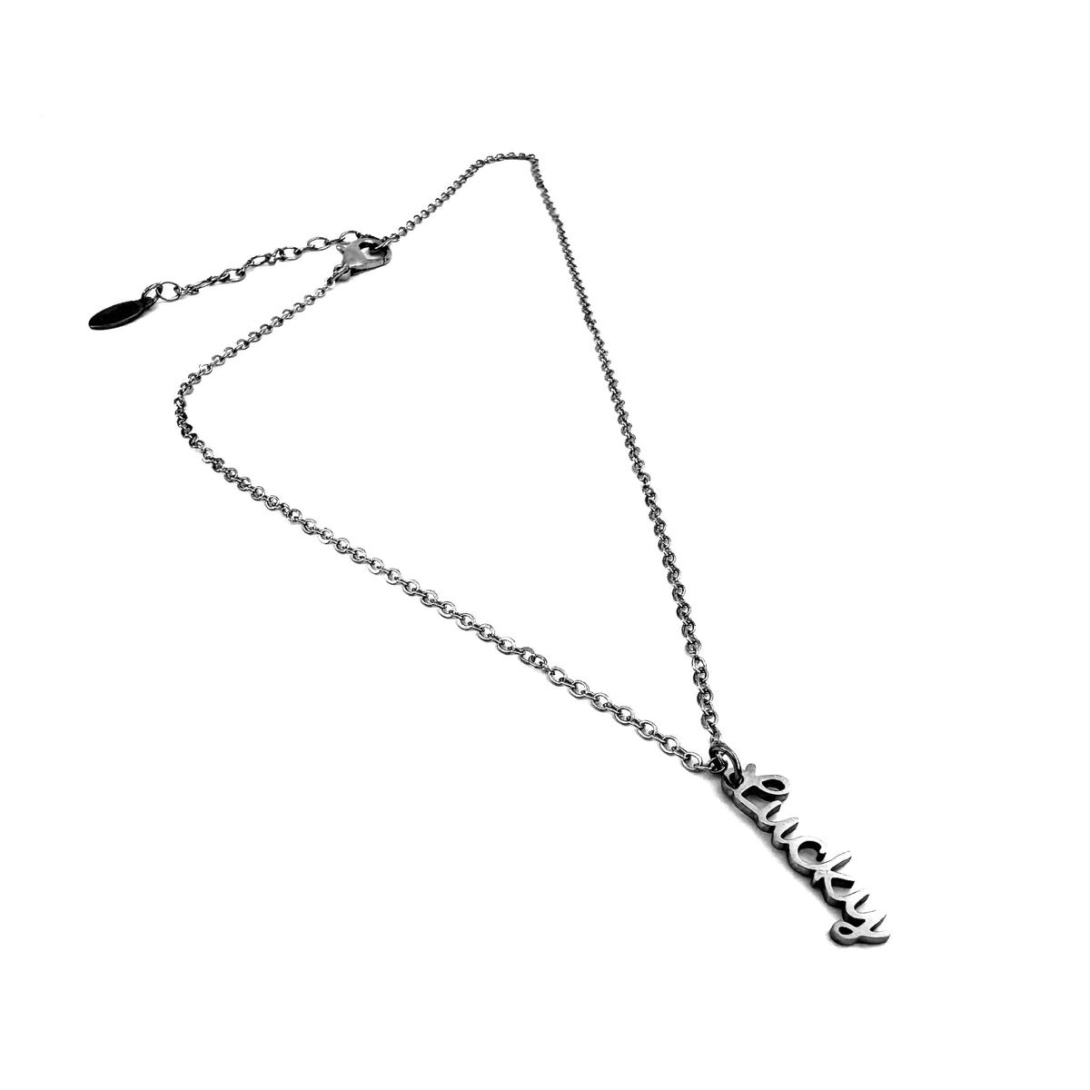 Lucky Charm stainless steel pendant necklace from the Lucky Charm Bar at Foxlark