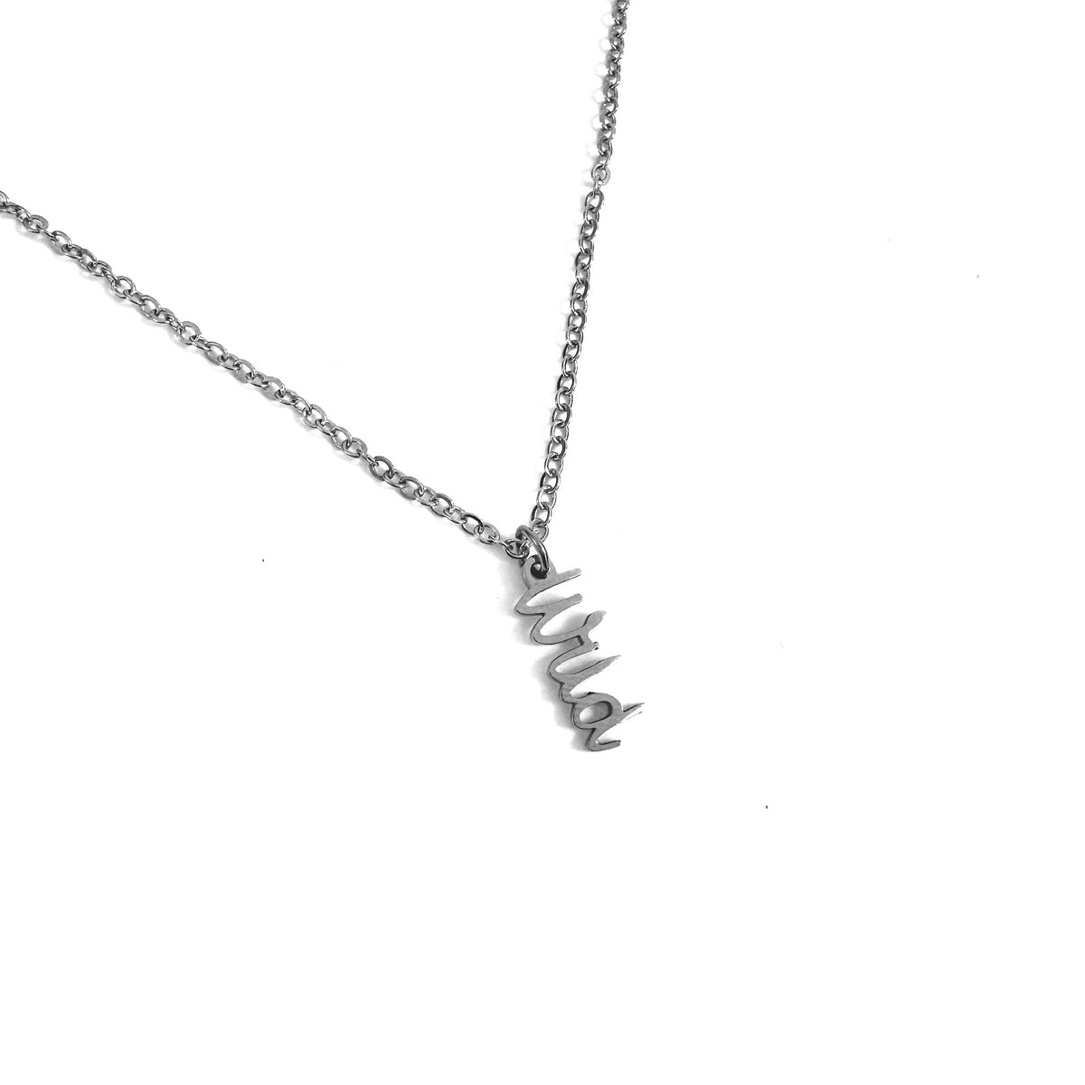 Wild Charm stainless steel pendant necklace from the Lucky Charm Bar at Foxlark