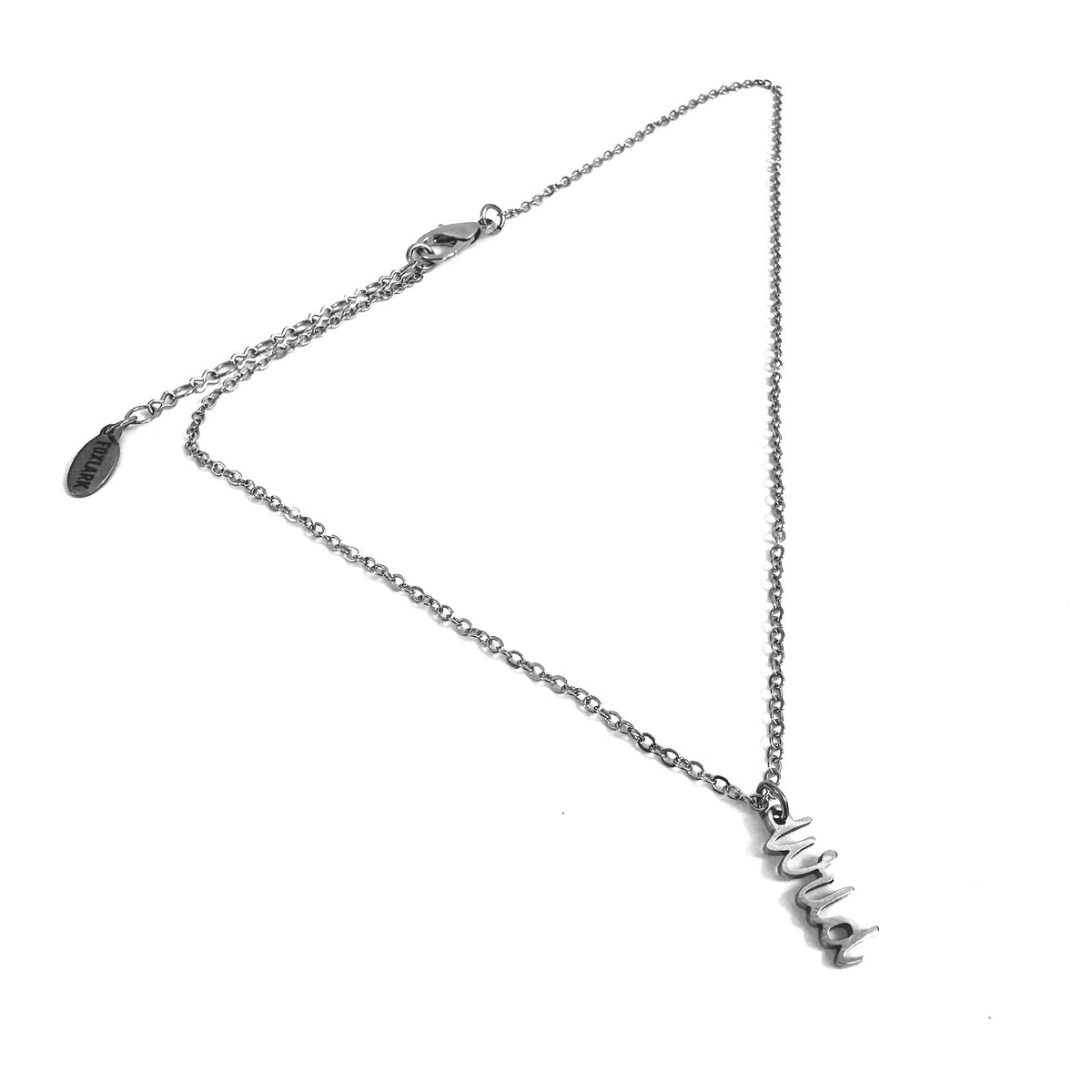 Wild Charm stainless steel pendant necklace from the Lucky Charm Bar at Foxlark