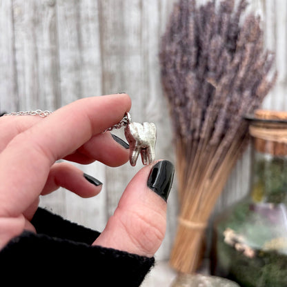 Silver Tooth Necklace Fine Silver / Foxlark Collection - One of a Kind
