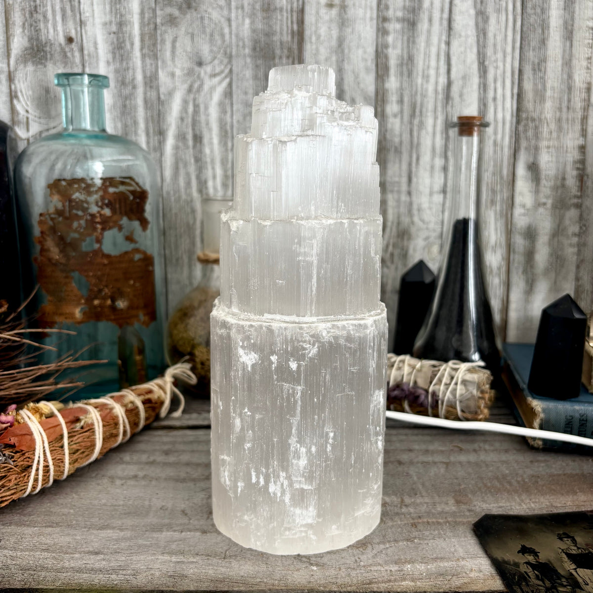 Large Self Standing Selenite Crystal Lamp/ FoxlarkCrystals