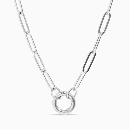 Tiny Trinkets Collection- Stainless Steel Paperclip Carabiner Charm Holder Necklace / Curated Collection FOXLARK