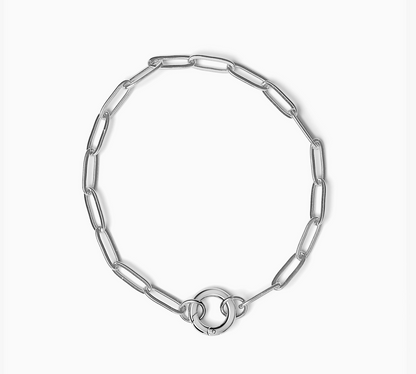 The Load-It-Up Charm Collector Bracelet - Paperclip Carabiner Chain from the Lucky Charm Bar by Foxlark