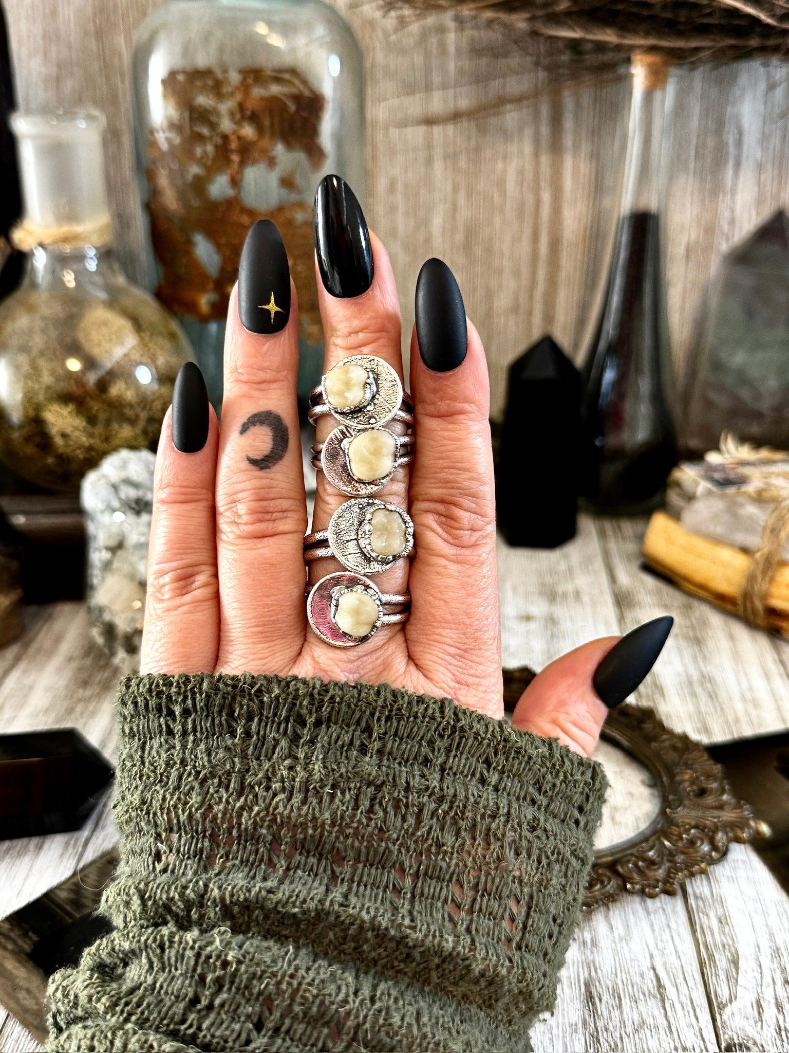 Tooth Ring Silver Size 7 8 9 10 11 Faux Resin Tooth Jewelry / Foxlark Collection