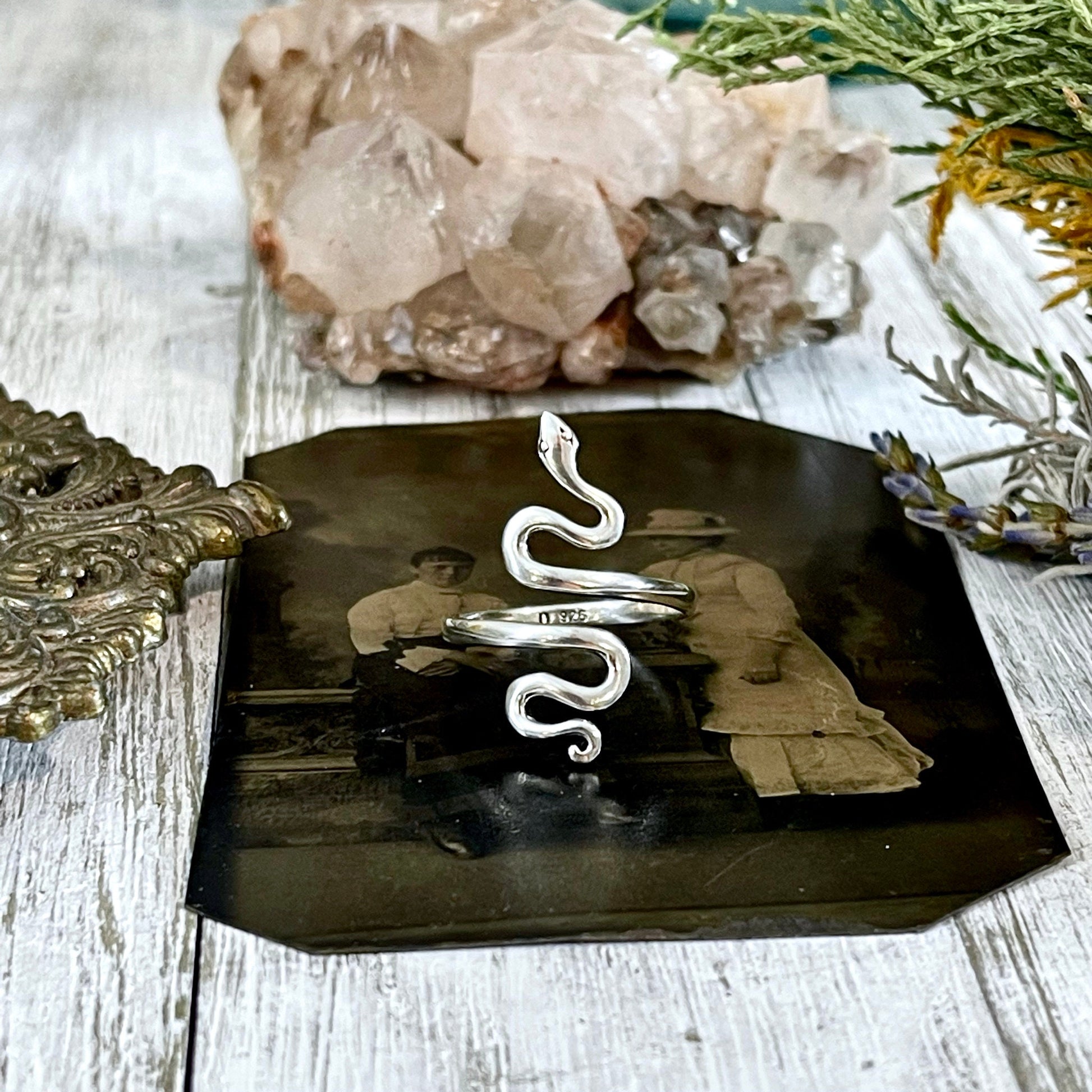 Snake Ring in Sterling Silver Adjustable / Tiny Talismans Collection - Foxlark Crystal Jewelry